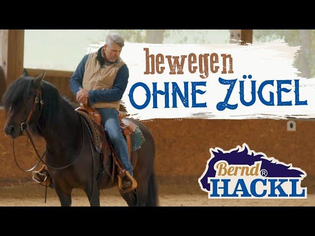 Bewegen ohne Zügel | Bernd Hackl erklärt! 