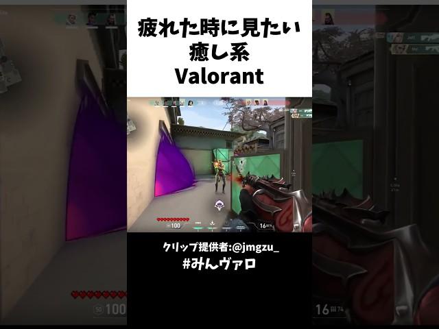 疲れた時に見たい!!癒し系Valorantといえばコレ #valorant #valorantclips #キル集