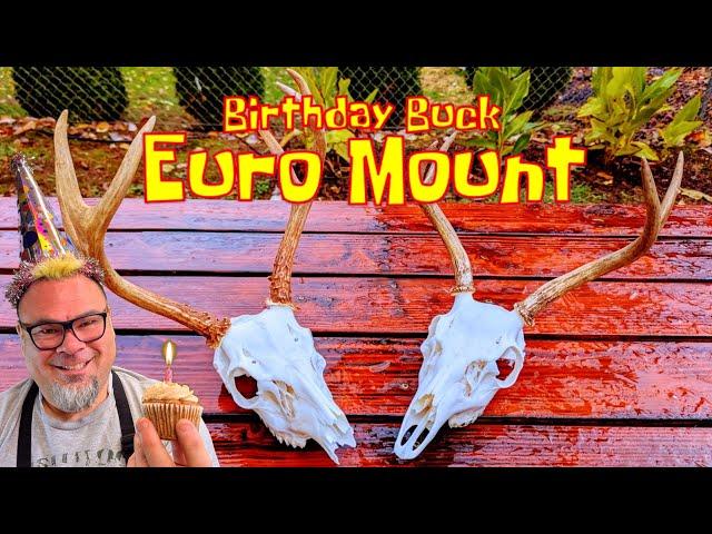 Cheap and Easy DIY Euro Mount