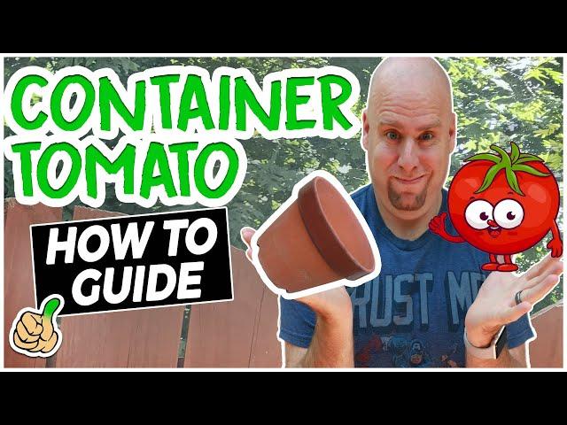 How to Plant Tomatoes in Pots | Best Tomato the Easy Way