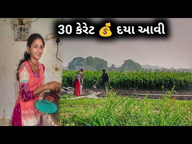 35 carat / Daya Aavi || farmerlife ||