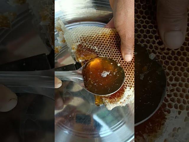 100 % pure honey  #shorts #purehoney #honeybees #shortsfeed