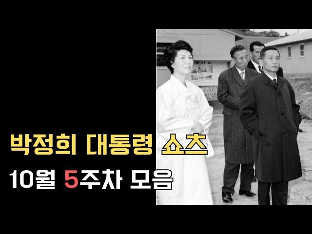 박정희 대통령 쇼츠 10월 5주차 모음