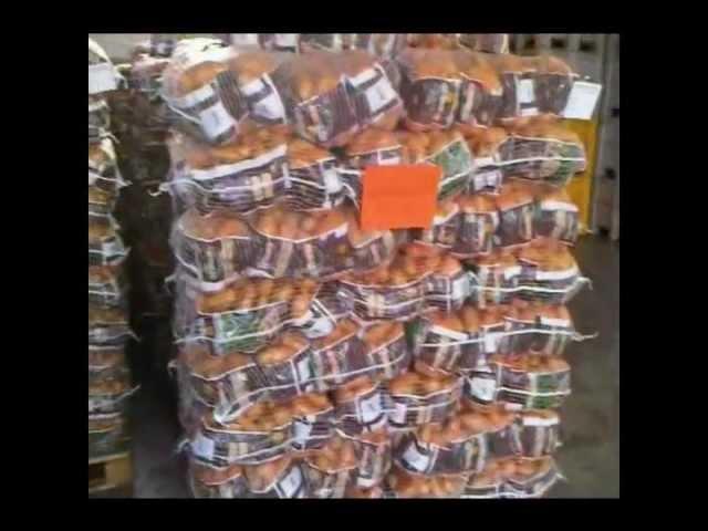 Γραμμές Διαλογής, Συσκευασίας Πατάτας - Potatoes Washing and Packaging Line_Novatec