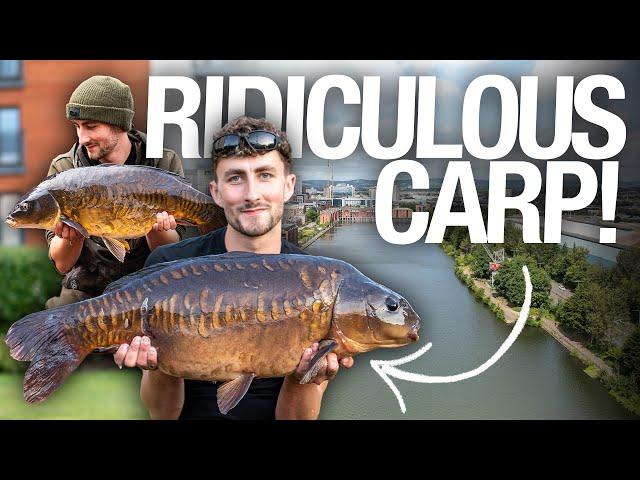 Urban Carp Fishing: Chasing Scalys in the City with Jacob Worth