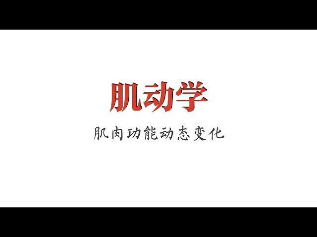 基本概念｜肌肉功能的动态变化