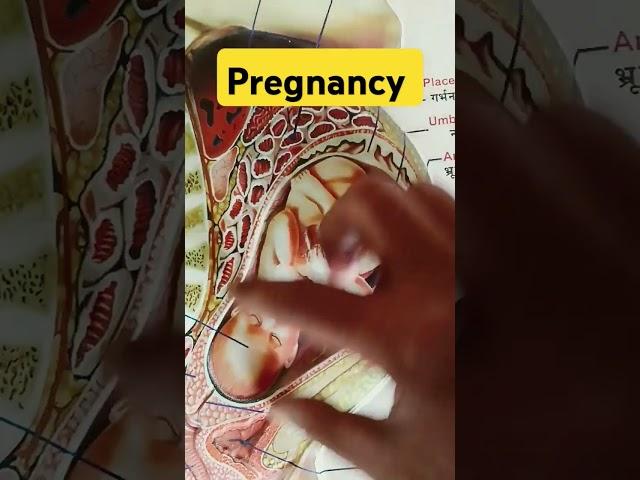 Pregnancy Chart#humanhealth #anatomy #biology #pregnancy #pregnancytips #physiology #humanhealth #