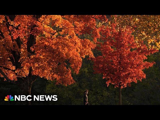 This Morning’s Top Headlines – Oct. 31 | Morning News NOW