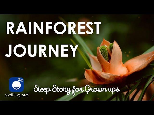 Bedtime Sleep Stories |  A Journey through Magical Rainforest  | Edutainment Relaxing Sleep Story