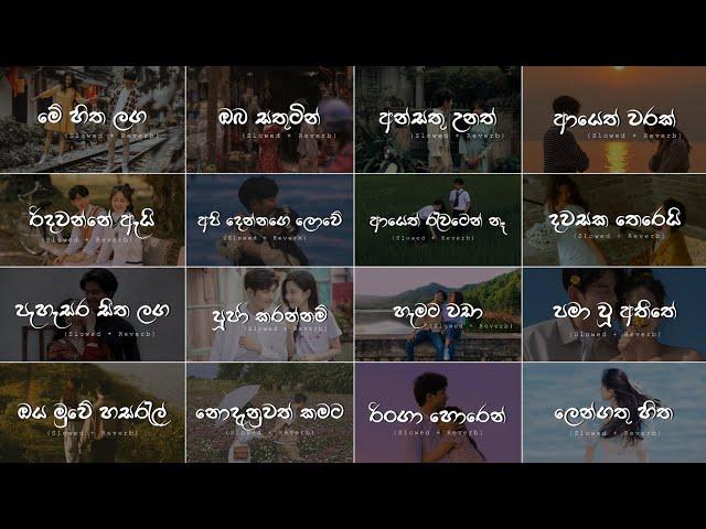 Manoparakata Sindu |️| මතක අවුස්සන සිංදු | Mind Relaxing (Slowed + Reverb) Collection Playlist 26