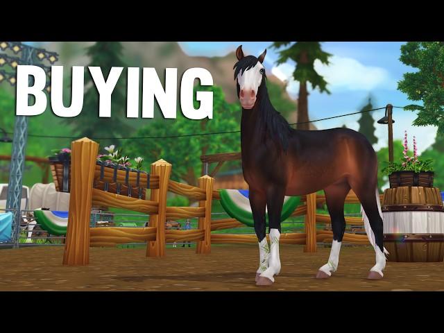 Buying NEW Horses + Ranch Scouting | Star Stable