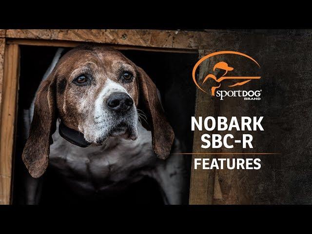 SportDOG Brand® NoBark SBC-R :: Features