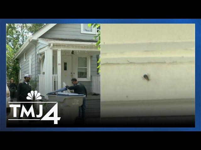 Property manager visits roach-filled home following neighbor complaints