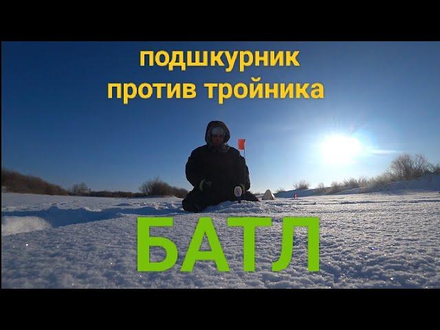 Подшкурник против Тройника,кто выиграет?  Рыбачу на Ишиме.