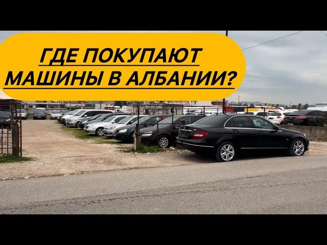 Где покупают машины в Албании?