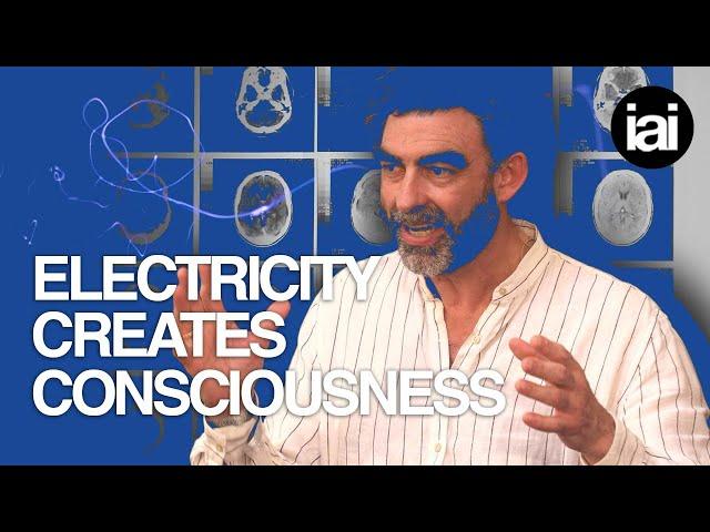 Electricity creates consciousness | Nick Lane