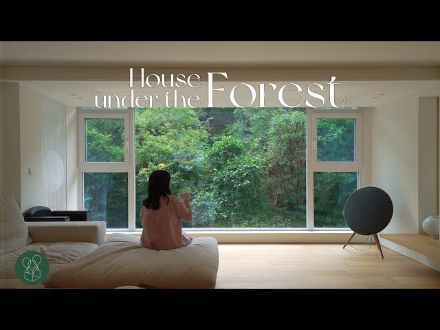 House under the slowly flowing forestGreat apartment for meditation