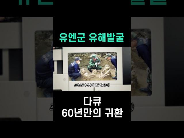 [60년만의 귀환] 한국전쟁에 참여했던 유엔군 유해발굴