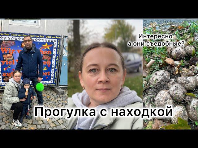 Поздние переселенцы в Германии  Прогулялись по городу, нашли много ГРИБОВ 