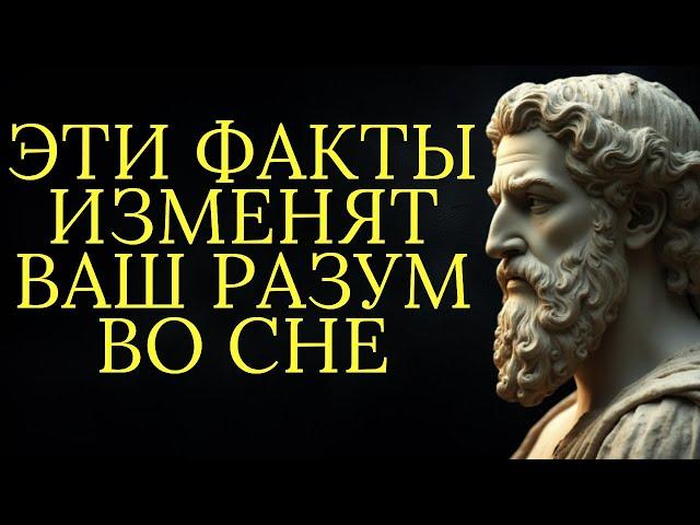 1 час стоических истин о которых стоит подумать во время сна | Стоицизм