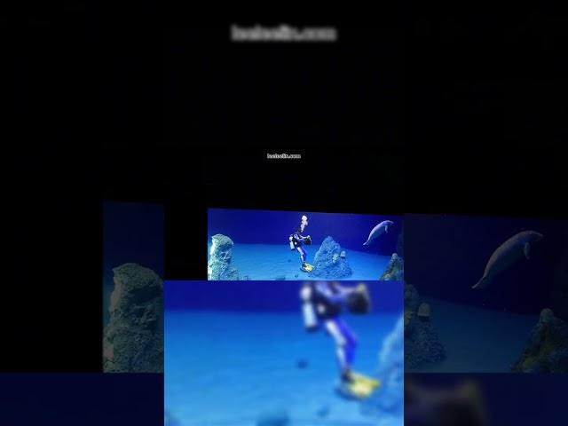 你不知道的美人魚的神秘傳說