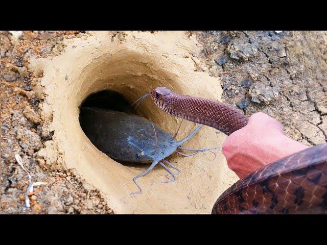 Unbelievable Fishing Technique | Use A Snake To Catch Fish In Underground Hole