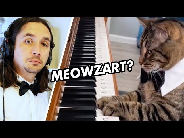 The Kiffness x Mozart Cat - Piano Playing Cat (Remix)