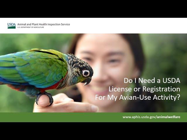 Do I Need a USDA License or Registration for My Avian Use Activity  1