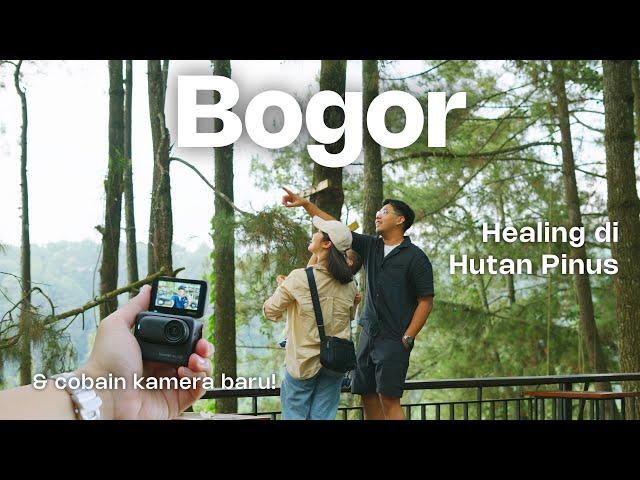 Jalan-Jalan ke Hutan Pinus Bogor | KOPI DAONG