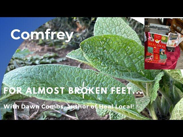 Comfrey and Nearly Broken Feet