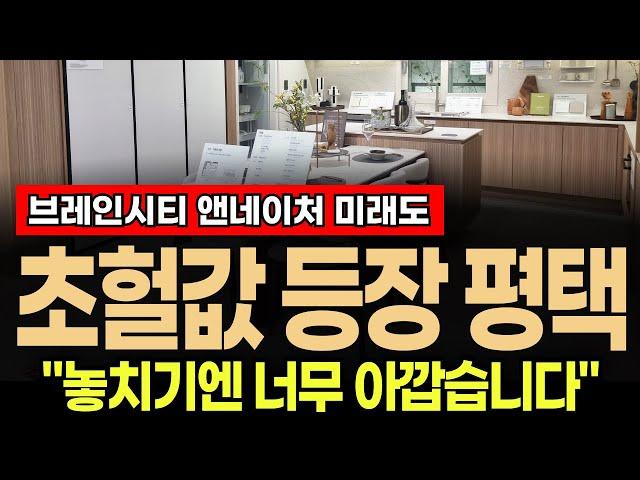 "분양가가 제일 싼 이유가..." 평택 브레인시티 앤네이처 미래도