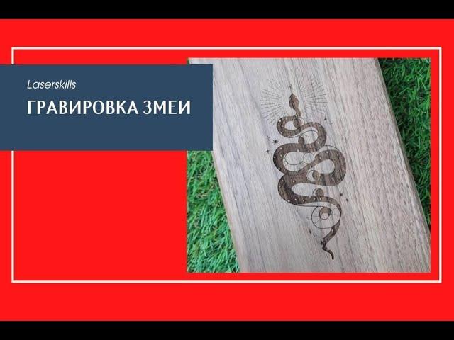 Профессиональная лазерная гравировка изображения змеи | laser engraving