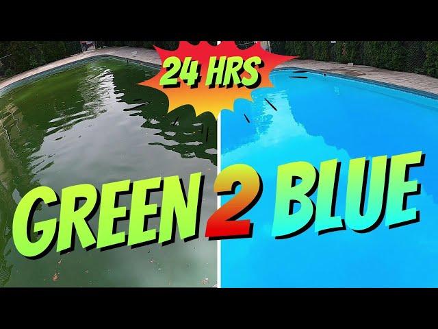 Green to Blue Pool in 24 hours: How to Clean a Green Pool: Pool Cleaning: Cleaning a Swimming Pool