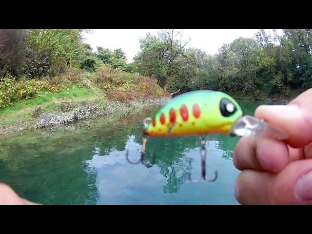 Chub Lure Favorite No 2