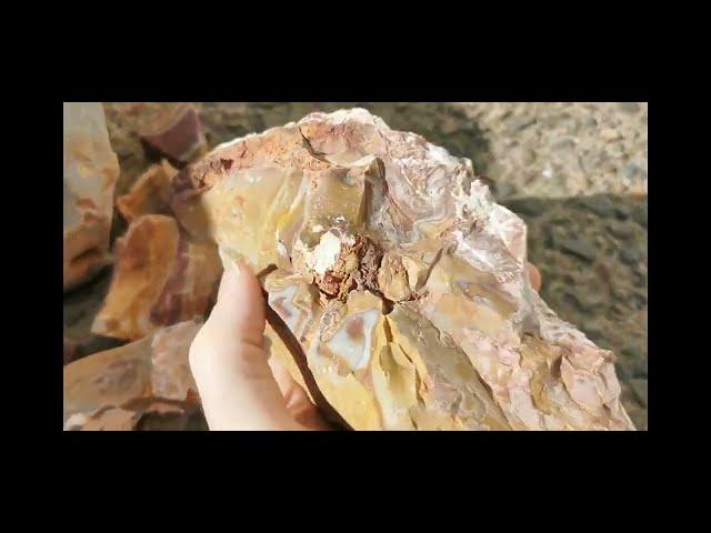 Gemfields Jasper || Goldfield, Nevada || Rockhounding