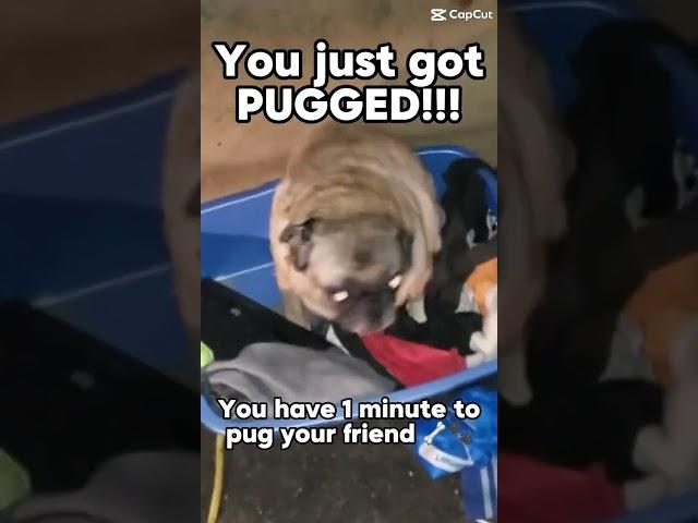 You’ve just been pugged