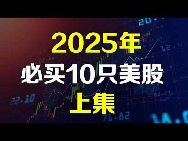 美股 2025年必买10只股【上集】不为人知的AI潜力公司 INOD