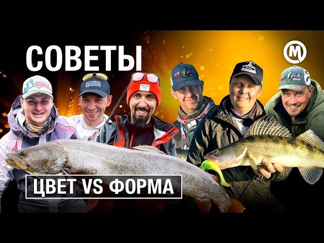 Выбор приманки: Цвет или форма?