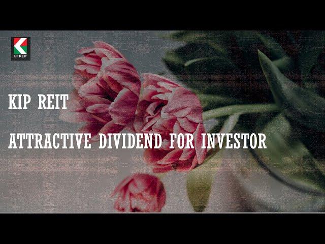 KIP REIT - Attractive Dividend Payout Rate%, Suitable for Long Term Investor.