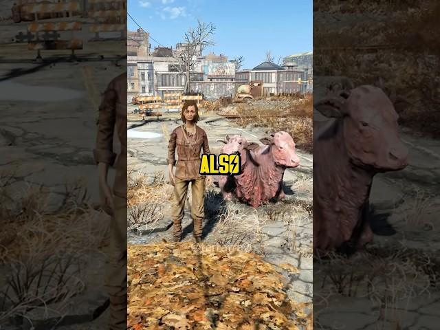 4 Animals Spying For The Institute  Fallout 4 Exploration