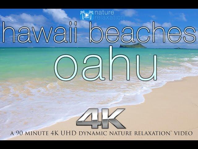 HAWAII BEACHES in 4K: Oahu | Nature Relaxation™ Dynamic 90 Min Video UHD