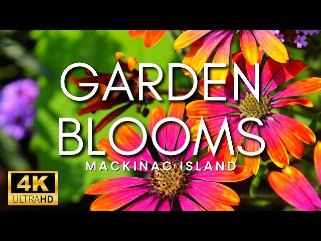 THE MOST BEAUTIFUL GARDENS IN THE WORLD! - Stunning Flower Gardens & Peaceful Music Mackinac Island