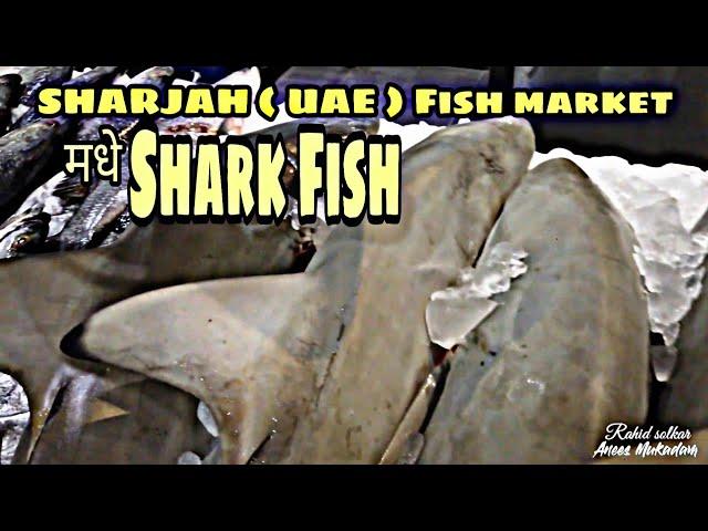 SHARJAH FISH MARKET | FT.ANEES MUKADAM