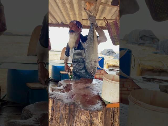 CUTTING MASTER Amazing Big Fish Cutting Skills@cuttingmaster-c8w #fishcutting #fishpreparation