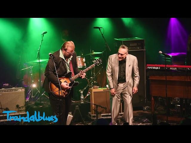 Rick Estrin & The Nightcats  - "Don't Do It"