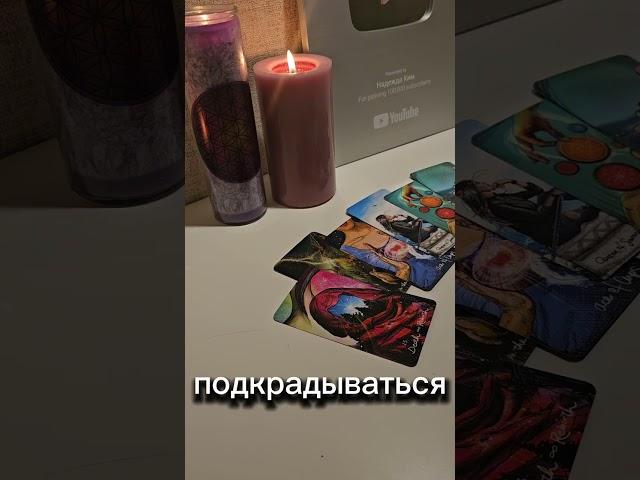 КТО ВАС ЛЮБИТ ?