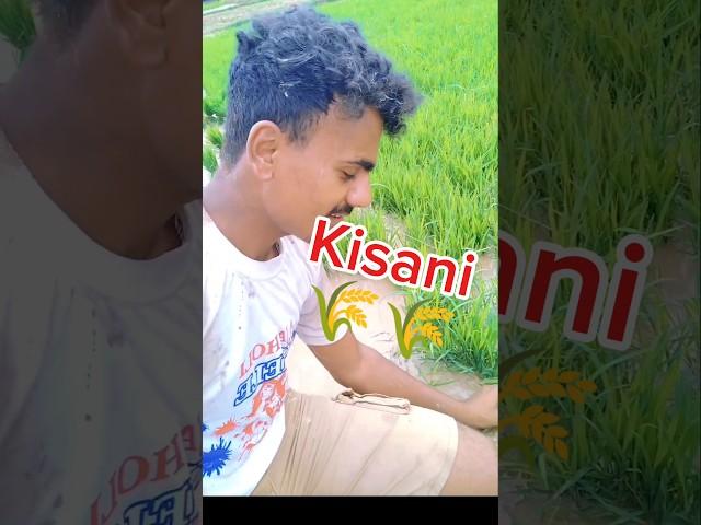 kisani#minivlog #pleasesubscribe #share #RP Vlogs78 #humanity @mrindianhacker