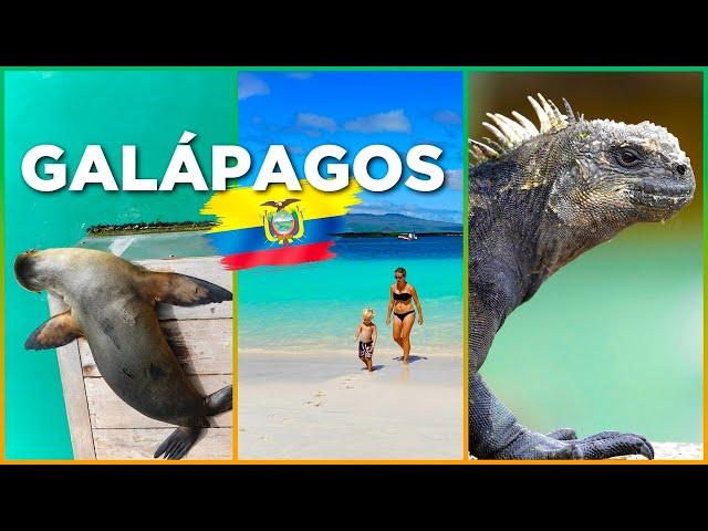 GALÁPAGOS: The ULTIMATE Guide! ALL Sights and ANIMALS on Santa Cruz, Isla Isabela & San Cristóbal