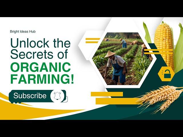 Organic Farming Explained: Grow Healthy, Chemical-Free Food Naturally!"