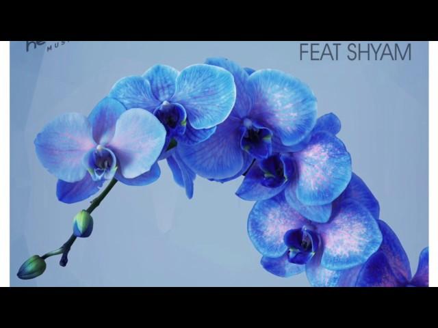 Husky Feat Shyam - Movin' On (Bobbin Head Music)